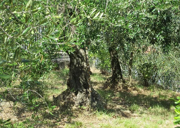 Bed and breakfast Mare E Monti La Spezia