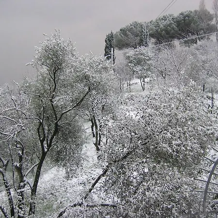 Bed and Breakfast Mare E Monti