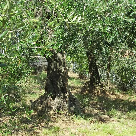 Bed and Breakfast Mare E Monti Λα Σπέτσια